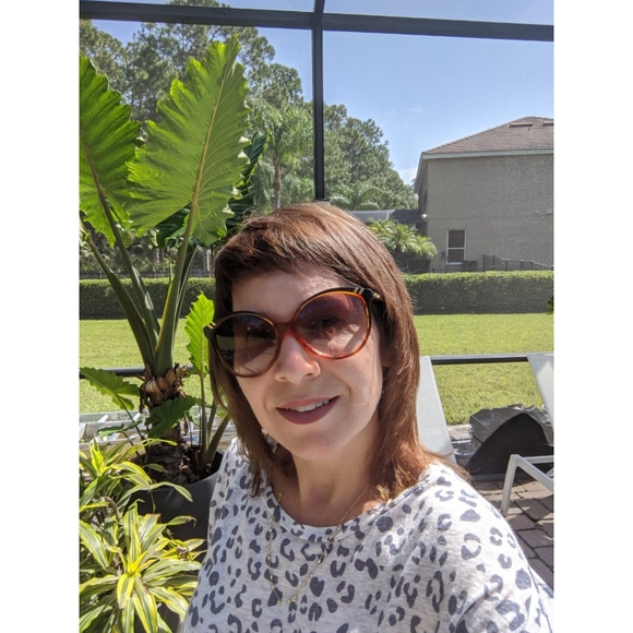 Chloe Red/Brown Gradient Cl 2200 Sunglasses - Picture 3 of 12